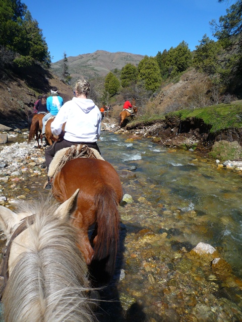 Gaucho, horse riding, Argentina, Bariloche, Peak Leaders