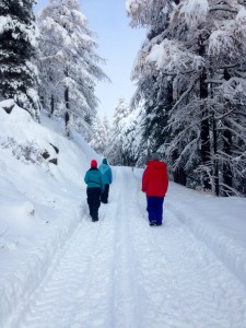 Trainees on their gap year skiing course walking through a snow laden forest