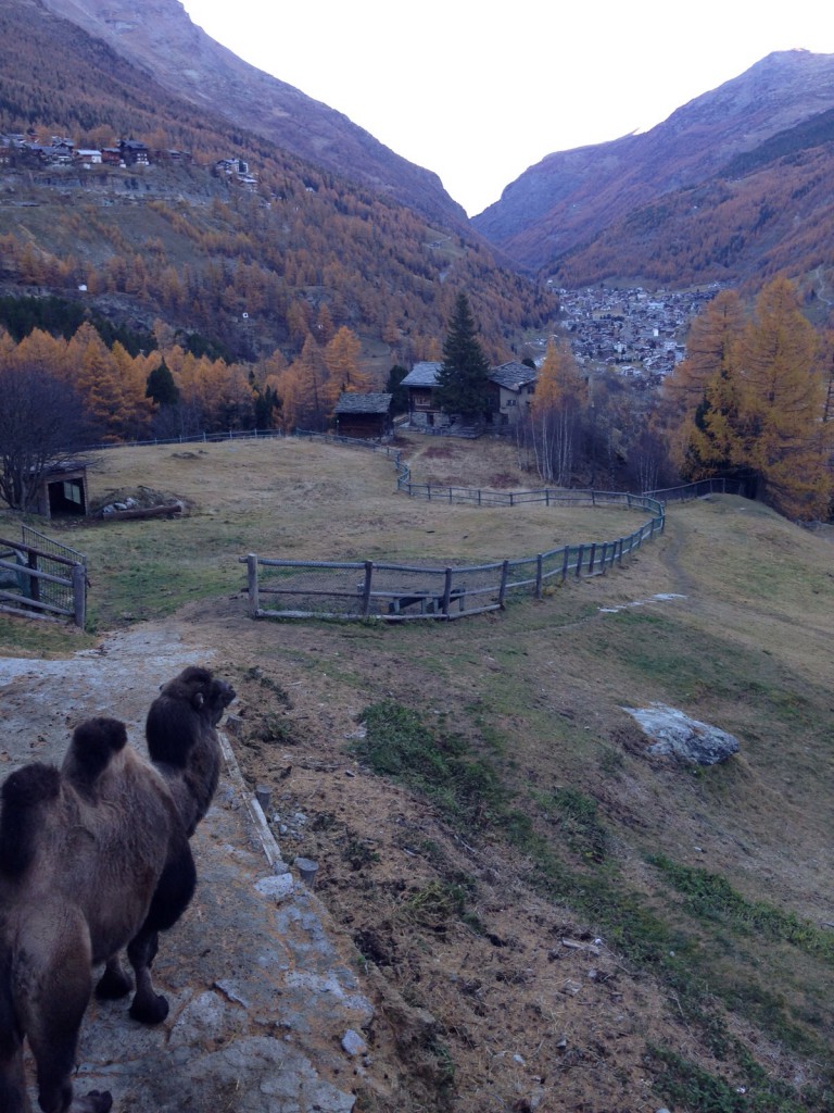 Autumn view of Saas Fee during BASI level 2