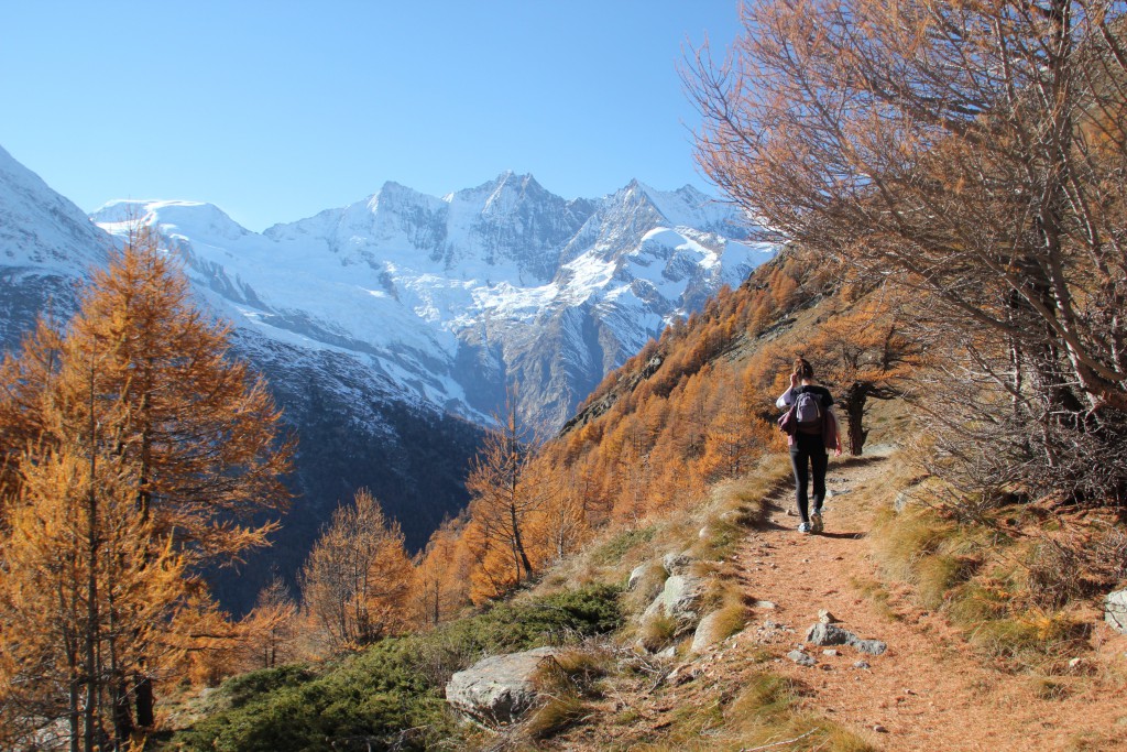 Stunning Autumnal colours on a hike in Saas Fee